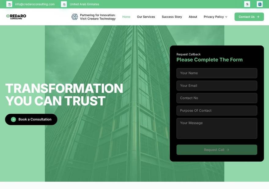 Credaro Consulting website homepage design — Business Services