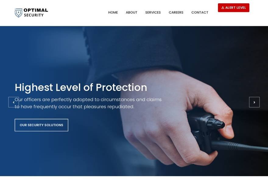 Optimal Security website homepage design — Business Services